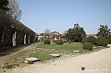 VBS_6419 - Villa Pisani - Stra (Venezia)